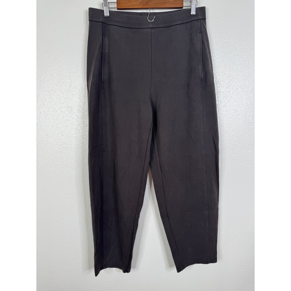 Eileen Fisher Tencel Lyocell Blend Tapered Ankle Pants Charcoal Gray Medium